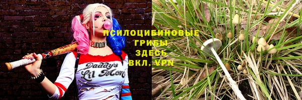 apvp Зеленокумск