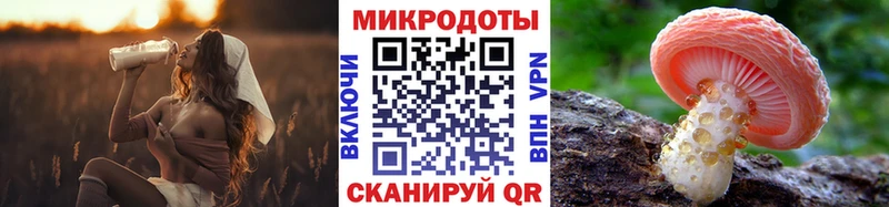 Купить закладки  Краснокамск  Галлюциногенные грибы Magic Shrooms 